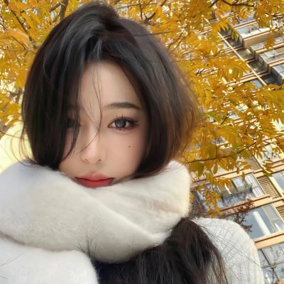 秘密访客